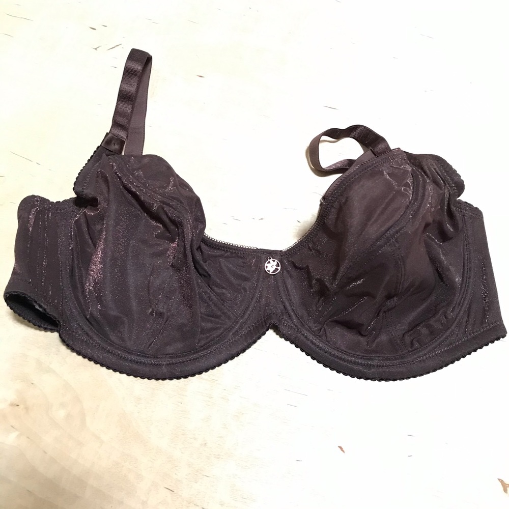 beingU Kobicha Underwear Bra High Shine Inclusive NWT 40D or 38FF